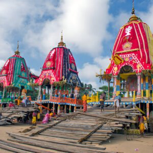 Puri Rath Yatra Tour
