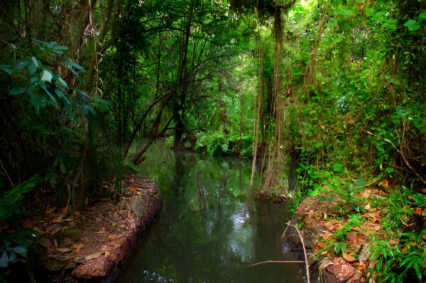 Kerala Backwaters Tour Package