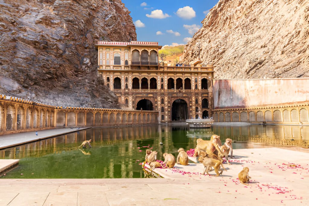 Holi Festival Tour Package​ 