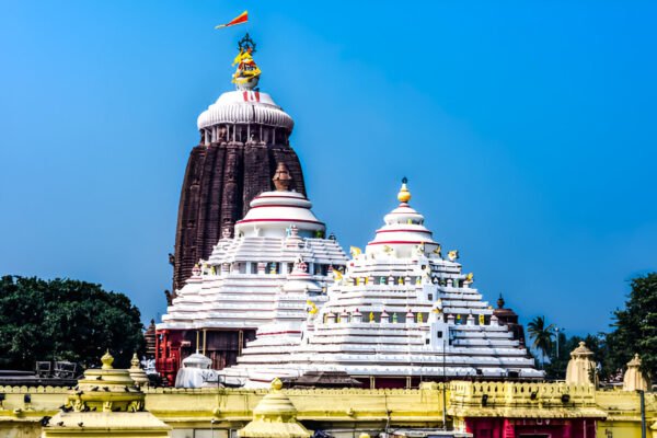 Puri Rath Yatra Tour Package