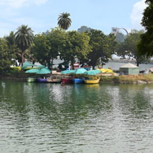 Navratri Tour in Gujarat